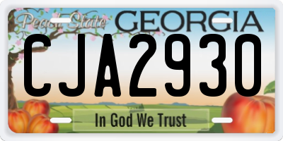 GA license plate CJA2930