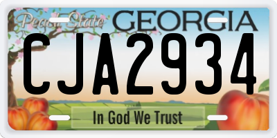 GA license plate CJA2934