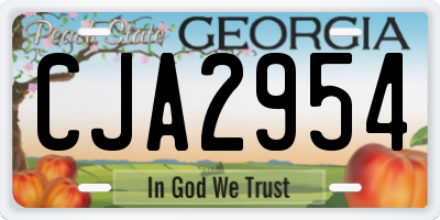 GA license plate CJA2954