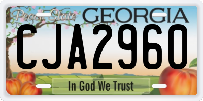 GA license plate CJA2960