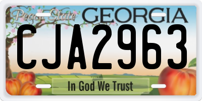 GA license plate CJA2963