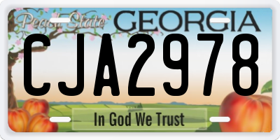 GA license plate CJA2978