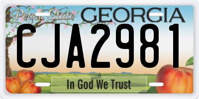 GA license plate CJA2981