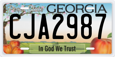 GA license plate CJA2987