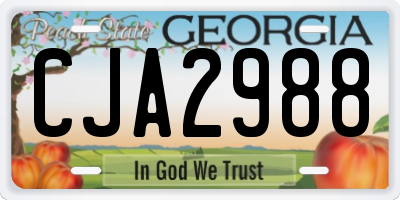 GA license plate CJA2988