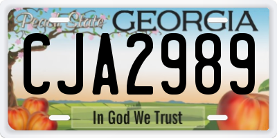 GA license plate CJA2989