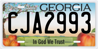 GA license plate CJA2993