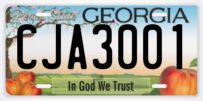 GA license plate CJA3001