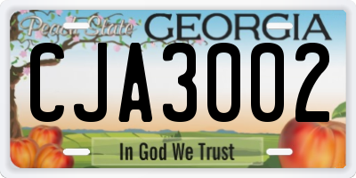GA license plate CJA3002