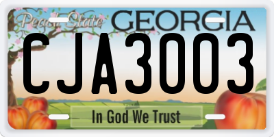 GA license plate CJA3003