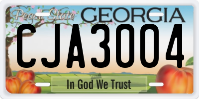 GA license plate CJA3004