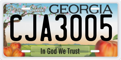 GA license plate CJA3005