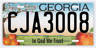 GA license plate CJA3008