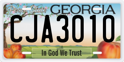 GA license plate CJA3010