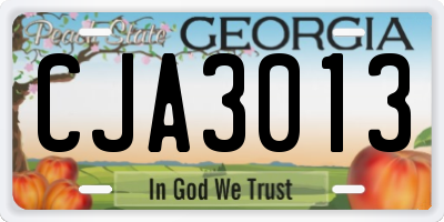GA license plate CJA3013