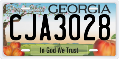 GA license plate CJA3028