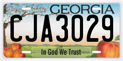 GA license plate CJA3029