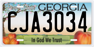 GA license plate CJA3034