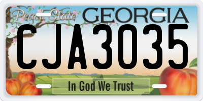 GA license plate CJA3035