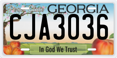 GA license plate CJA3036