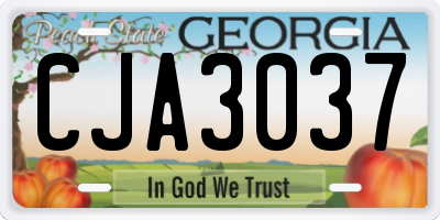 GA license plate CJA3037