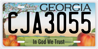 GA license plate CJA3055
