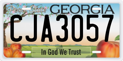 GA license plate CJA3057