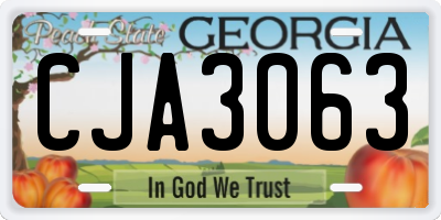 GA license plate CJA3063