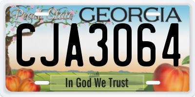GA license plate CJA3064