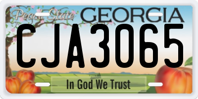 GA license plate CJA3065