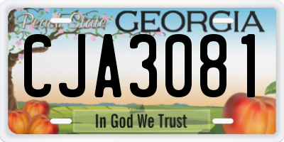 GA license plate CJA3081