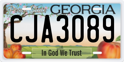 GA license plate CJA3089