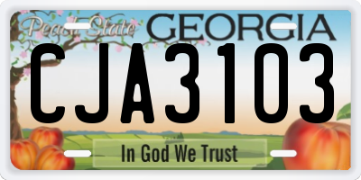 GA license plate CJA3103
