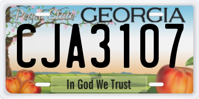 GA license plate CJA3107