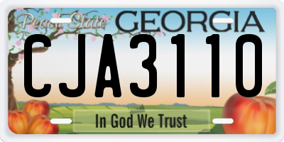 GA license plate CJA3110