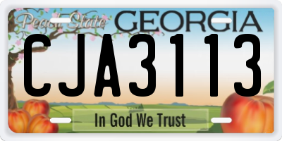GA license plate CJA3113