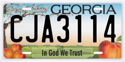 GA license plate CJA3114