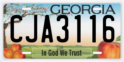 GA license plate CJA3116