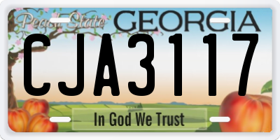 GA license plate CJA3117