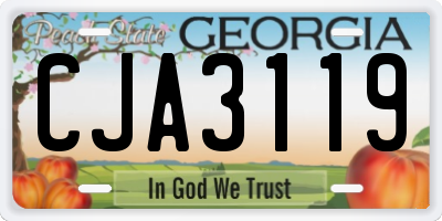 GA license plate CJA3119