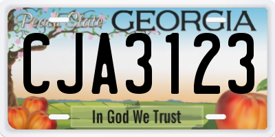 GA license plate CJA3123