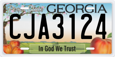 GA license plate CJA3124