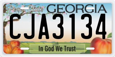 GA license plate CJA3134