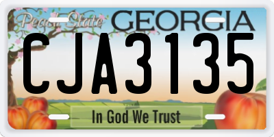 GA license plate CJA3135