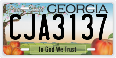 GA license plate CJA3137
