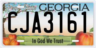 GA license plate CJA3161