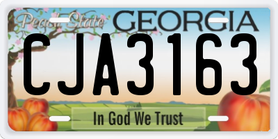 GA license plate CJA3163