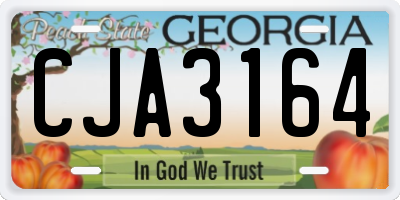 GA license plate CJA3164