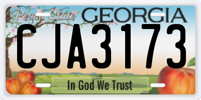 GA license plate CJA3173