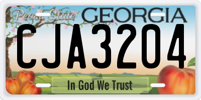 GA license plate CJA3204